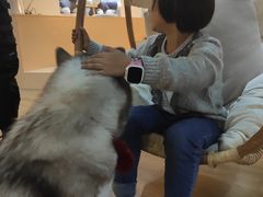 -Husky Go! 哈士奇体验馆·宠物咖啡厅狗咖