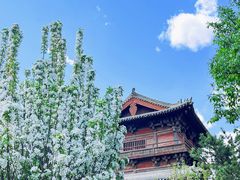-善化寺