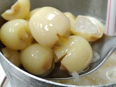 -澳洲牛奶公司(佐敦店)