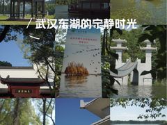 -东湖落雁景区