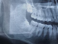 -青岛市口腔医院(总院)