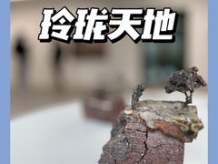 -大田秀则画廊