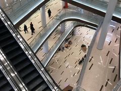 -张生记(丁香国际店)