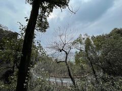 -杭州半山国家森林公园