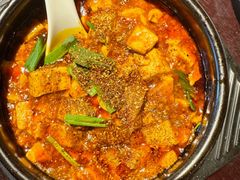 -陈麻婆豆腐总店