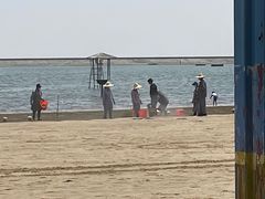 -碧海金沙