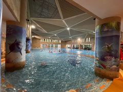-鹏湃星少儿游泳运动中心(西溪店)