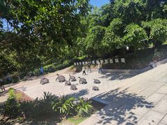 -广东惠东海龟国家级自然保护区