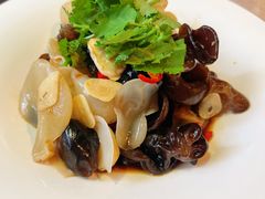 -新渝城·川菜·火锅(区庄店)