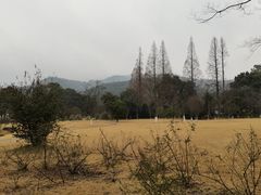 -杭州植物园