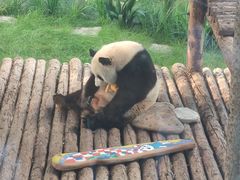 -大连森林动物园