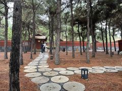 -东海森林温泉度假酒店