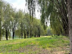 -东坝千亩湖公园