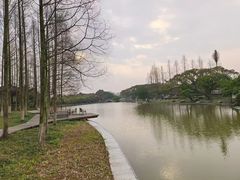 -江心屿景区