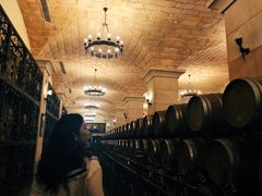 -北京张裕爱斐堡酒庄