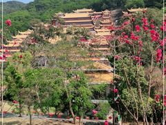 -东莞市大岭山森林公园