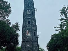 -上海佘山国家森林公园天马山园