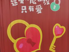 -荷兰花海