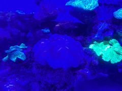 -上和臻品中国菜(花园街店)