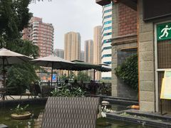 -成都市活水公园