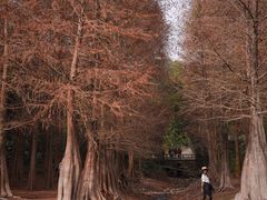 -广州市白云山风景名胜区