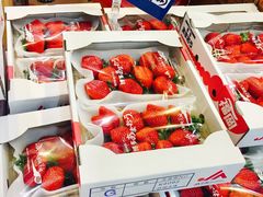 -香港会议展览中心演讲厅