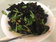 凉拌野生木耳-黄埔华苑酒家(黄埔总店)