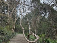 -采石矶景区