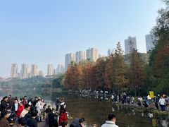 -重庆彩云湖湿地公园