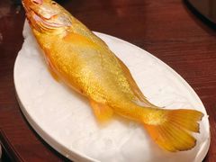 野生大黄鱼-明州小宴(文化广场店)