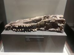 景点-世界恐龙谷景区