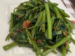 马来风光-文东记(马里士他路)