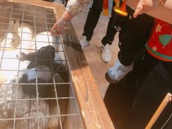 -酷嗒动物文化乐园(cutezoo西溪乐天城店)