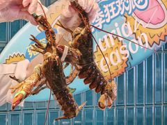 -雍容荟活波龙自助餐(IFS黑金店)