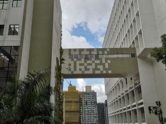 -香港大学