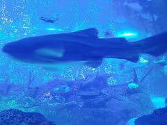 -沈阳海洋探索中心