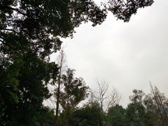 -峨眉山报国寺