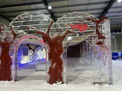 -宁波冰雪大世界(北仑区)