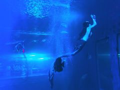 -太平洋海底世界