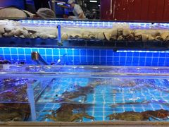 -四囍码头海鲜烧烤自助火锅(外滩南京东路悦荟广场店)