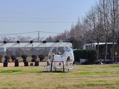 -前小桔亲子创意农场·草莓采摘·露营烧烤