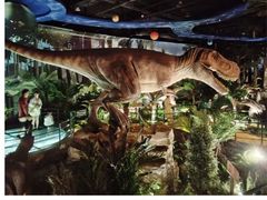 -陕西自然博物馆