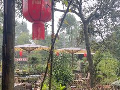 -青城甲(青城山店)