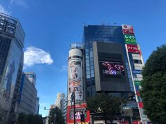 -涩谷全向十字路口
