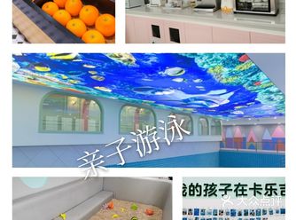 教具种类丰富|教具专业|教具质感好|效果明显|教练有