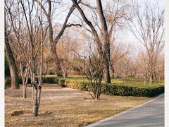 -迎泽公园