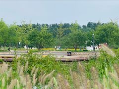 -东郊湿地公园