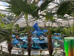 -南宫五洲植物乐园