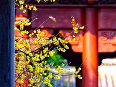 -钱王祠