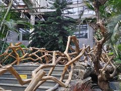 -龙达温泉生态城